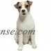 Sandicast "Mid Size" Sitting Brown Rough Jack Russell Terrier Dog Sculpture   568935447